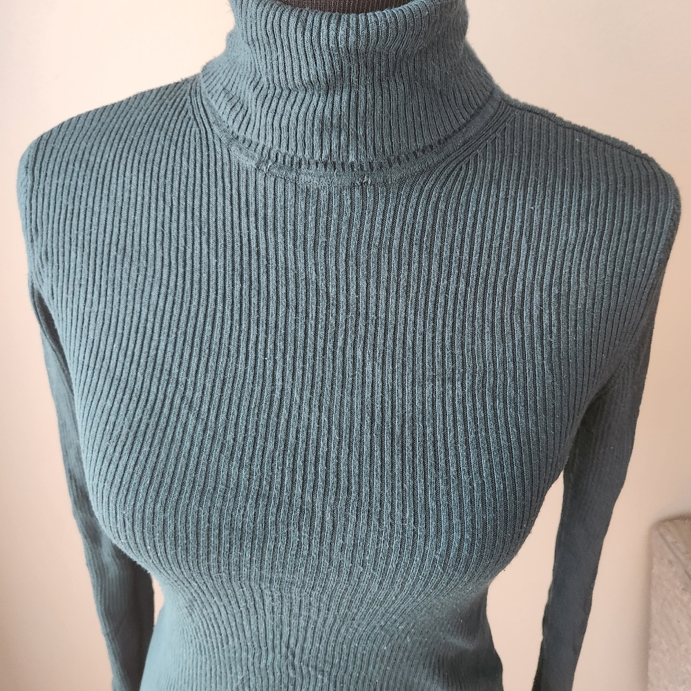 Express Turtleneck - Picture 3 of 6